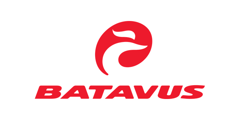 Batavus fietsen