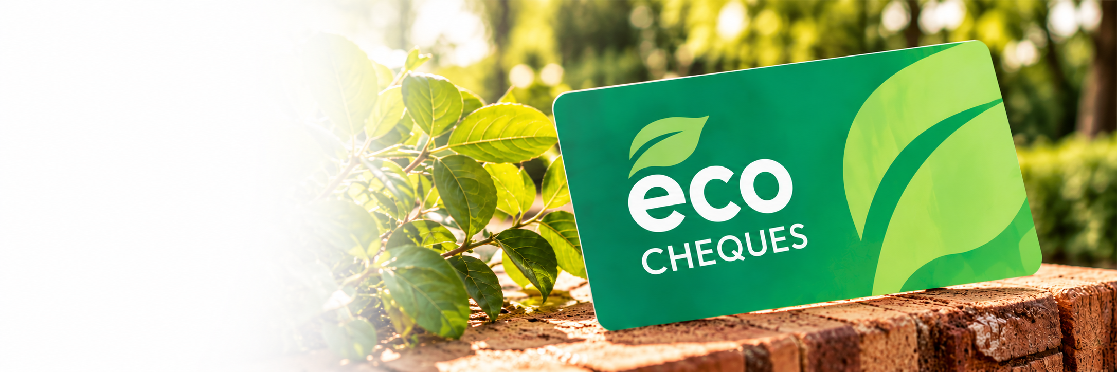 Ecocheques voor fietsen en accessoires